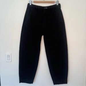 Everlane Curved Canvas Pant black 8